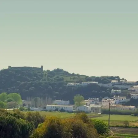 מלון Vicentina 4*